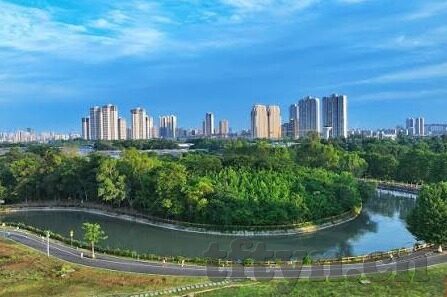 国产在线视频α麻豆-国产在线视频的多元尝试，国产α麻豆案例透视