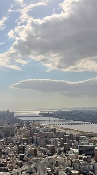 麻豆果冻蜜桃传媒-麻豆果冻蜜桃传媒，数字时代下的内容创新与文化交融